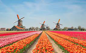 Đặt vé máy bay giá rẻ đi Hà Lan - xứ sở muôn hoa